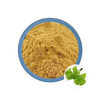 Екстракт от Гинко Билоба на прах