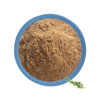 Хлорогенна киселина на прах